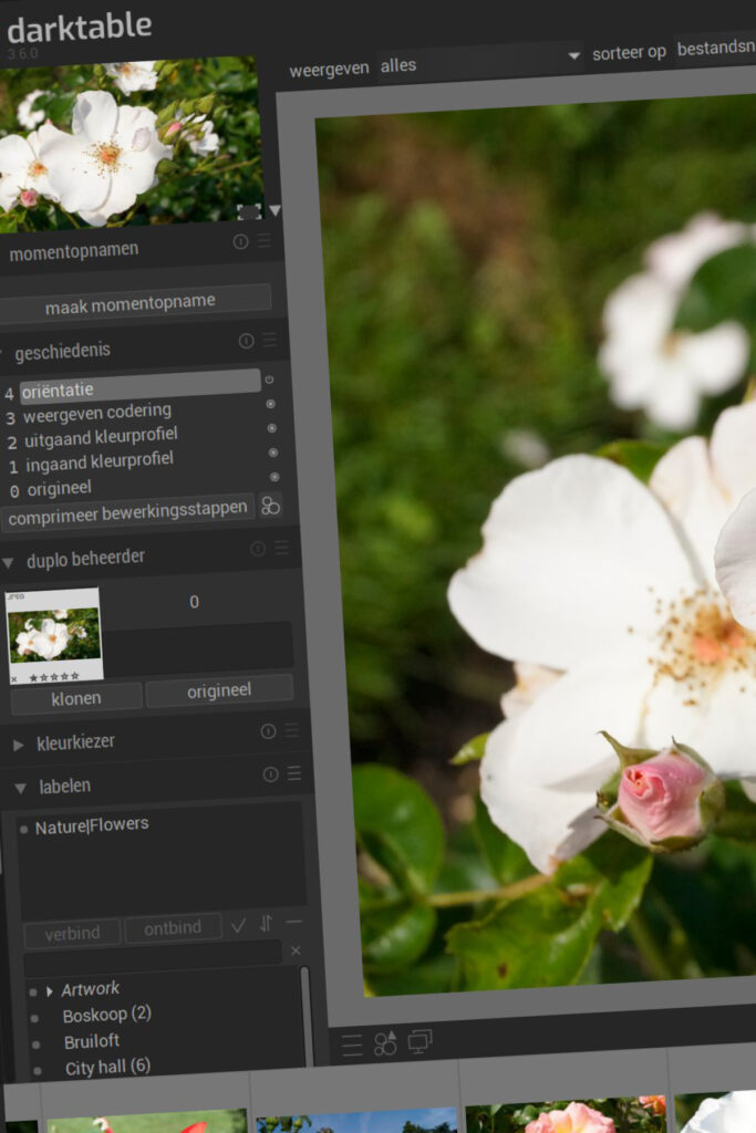Breng je foto’s naar een hoger niveau met Darktable