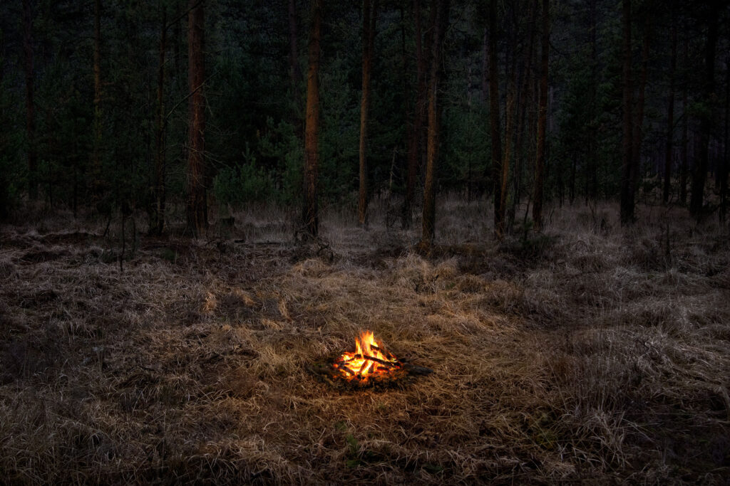 Ellie Davies - Fires 1, 2018