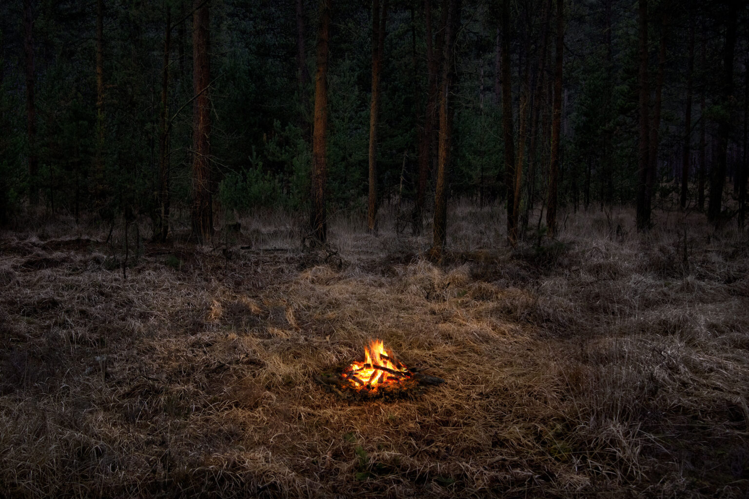 Ellie Davies - Fires 1, 2018