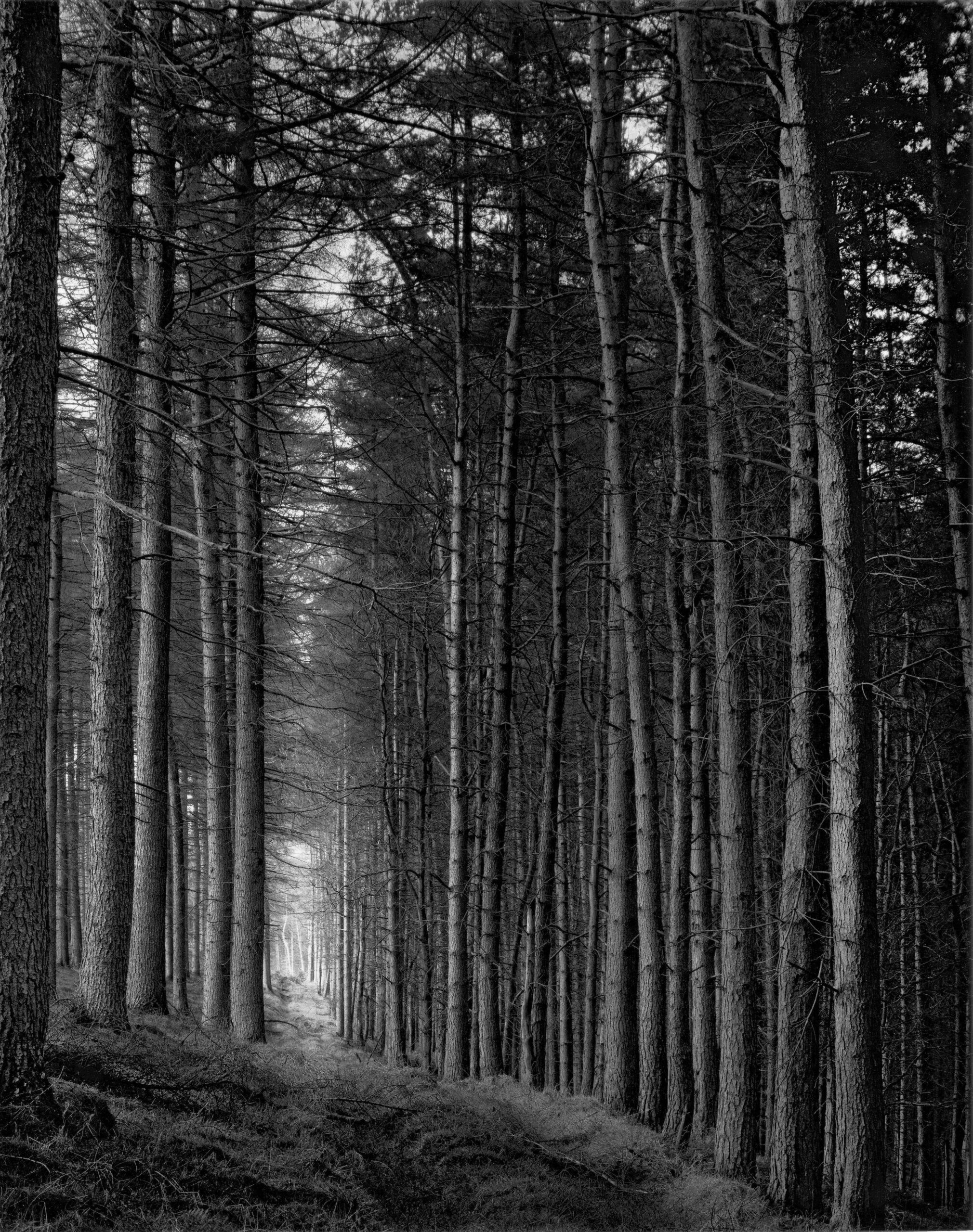 Paul Hart - Portal from Truncated, 2007